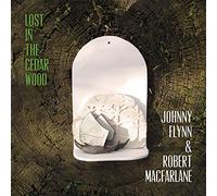 Johnny Flynn - Lost in the Cedar Wood