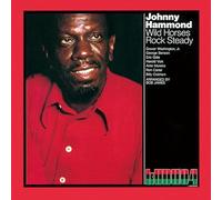 Johnny Hammond - Wild Horses Rock Steady
