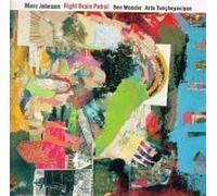 Johnson, Mark - Right Brain Patrol