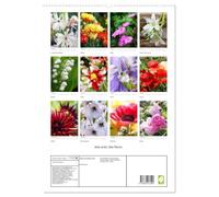 Joie avec des fleurs (Calendrier mural haut de gamme 2027 DIN A2 horizontal), CALVENDO calendrier mensuel