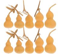 JOINPAYA 10 Piezas de Mini Calabazas Naturales Decorativas 4-6 Cm, Adornos Artesanales para Cocina, Sala y Oficina, Decoración Manualidades y Mesa Comedor Estilo Aleatorio