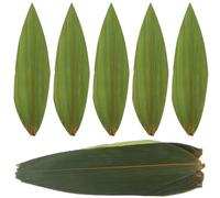 JOINPAYA 100 Hojas Grandes de Hojas Decorativas Tipo Bambú para Sushi y Sashimi Verdes para Emplatado Japonés en Restaurante Decoración Culinaria para Platos Frescos