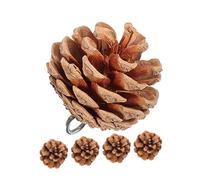 JOINPAYA 5 Juguetes Masticables para Loros Forma de Piña Natural, Accesorios Colgantes para Jaulas de Periquitos, Set de 5 Piezas para Mascotas, Estimulantes y Seguros para Pájaros en Casa