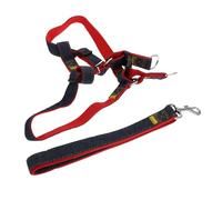 JOINPAYA Juego de Arnés y Correa para Perros Pequeños, Ajustable, Chaleco de Tela Resistente, Correa de 2,5 Cm X 120 Cm, Uso para Paseo Diario, Mascotas y Cachorros