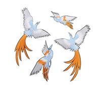 JOINPAYA Parche Bordado de Costura Phoenix Bird 4 Piezas DIY para Ropa Apliques de Rayón Gris para Cheongsam Mezclilla y Bolsos Accesorio Cosido Resistente al Color Fácil Planchado