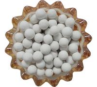 JOINPAYA Piedra para Hornear al Vapor Resistente al Calor 500g con Bolsa de Tela Clara para Tartas y Quiches, Molde de Piedra Lisa sin Impurezas para Uso Profesional y Doméstico