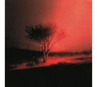 Joji – Piss In The Wind – Vinilo 12" Importación USA