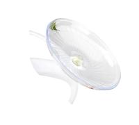 jojnsha Gerbil Rueda para Correr Silenciosa Spinner Disco De Ejercicio Diseño Silencioso Mascota Pequeña Fitness Juguete Ruido Rueda para Hámster