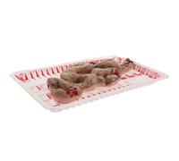 jojofuny 1 Caja Caja de Órganos Corporales Falsos Juguete de Plástico y Vinilo para Halloween Réplica del Cuerpo Humano Intestino Cortado Falso para Decoración y Broma