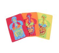 jojofuny 3 Piezas Puzzle Educativo de Órganos para Set Eva Desarrollo Cognitivo y Aprendizaje del Sistema Digestivo Material Duradero y Adecuado para Preescolar Color