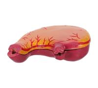jojofuny Estómago de Anatomía Estructura Realista para Educación y Visualización Clara en Plástico para Estudiantes y Educadores