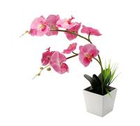 jojofuny Lámpara de Maceta Luz LED para Orquídeas Phalaenopsis, Iluminación para Hogar 9 Bombillas Led, Adecuado para Ambientes Interiores