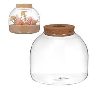 jojofuny Terrario Ecosistémico de Vidrio con Corcho Perforado, Pequeño Contenedor para Micropaisaje de Musgo, Decoración Natural para Interior, Jarrón Ecológico para Plantas Hidropónicas,