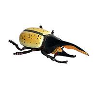 JOKFEICE Figuras de animales realistas de Hercules Beetle, juguete de insectos, proyecto científico, decoración de pasteles, juguetes educativos tempranos cumpleaños para niños pequeños de 3, 4 y 5