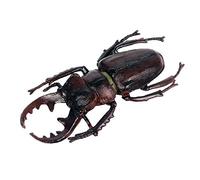 JOKFEICE Figuras de animales realistas Stag Escarabajo Figuras, Proyecto de Ciencia, Decoración de Pastel, Juguete Educativo Temprano Regalo de Navidad para Niños Pequeños Edad 3 4 5