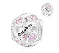 Jokmeo Dije charm en plata fina 925, compatible con pulseras y collares de estilo Pandora y europeo. Adecuado para mujeres y niñas.