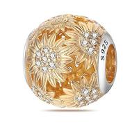 Jokmeo Dije charm en plata fina 925, compatible con pulseras y collares de estilo Pandora y europeo. Adecuado para mujeres y niñas.