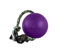 Jolly Pets Pelota para Perros RompNRoll (TL5161)