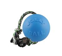 Jolly Pets Pelotas De Juguete Para Perros Jolly Ball Romp-N-Roll 10 cm Baby Blue (Blue Berry Smell)