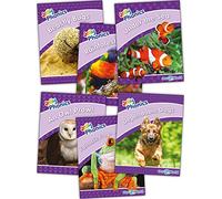 Jolly Phonics Readers Level 5, Our World: In Precursive Letters (British English edition)