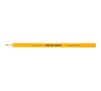 JOLLY Supersticks - Lápices de colores irrompibles para niños, caja plegable por docenas, color marrón claro