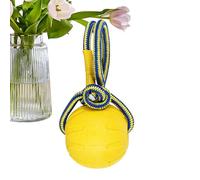 Jollyball - Pelota de masticación de Entrenamiento con Mango Indestructible - Juguetes interactivos para Cachorros, Suministros para Mascotas, Nudos de dentición para cumpleaños