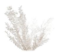 Jolsaawie de Ruscus Secas para Siempre de 45Cm DecoracióN DIY Ramo de Secas para DecoracióN del Hogar de Boda