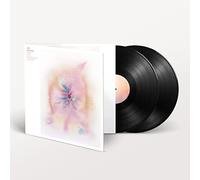 Jon Hopkins - Music For Psychedelic Therapy (2LPs) [Vinilo]