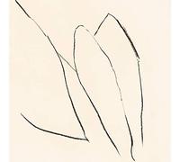 Jon Porras - Voices Of The Air [VINYL] [Vinilo]