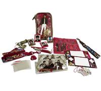 Jonas Brothers Accessory Kit (DSi, DS Lite) [Importación inglesa]