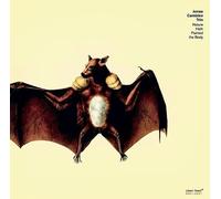 Jonas Cambien Trio - Nature Hath Painted The Body