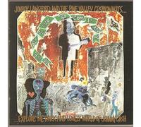 Jonboy Langford - Misery Loves Company