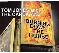 Jones, Tom & The Cardigans - Burning Down the House