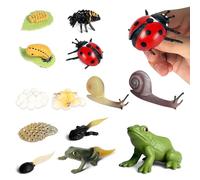 Jonuin Set 13 Figuras Ciclo de Vida Animal, Mariquita, Caracol y Rana, Juguetes Montessori Educativos, Modelos de Insectos y Animales, Regalo Didáctico para Niños y Proyectos de Ciencias Naturales