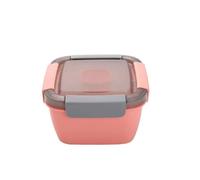 Jooehyer Fiambrera de PláStico Fiambrera con Tenedor Caja de Salsa, Caja de Picnic para Microondas Ensalada ConservacióN de Frutas-A