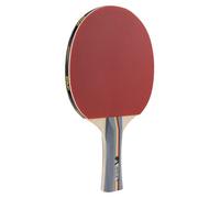 JOOLA Pala de tenis de mesa TEAM SCHOOL Pala de tenis de mesa de - Ideal para deportes recreativos Esponja de 1,5 mm