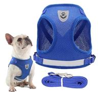 JOOTUEPO Juego de Arnés y Correa para Perro, Arnés Antitirones Reflectante Cómodo Transpirable Arneses Chaleco para Perros Pequeños Mediano Gatos, Cachorros (XS)