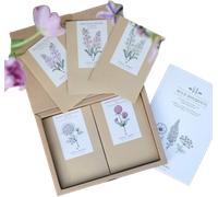 Jora Dahl Wild Bouquet - New Cottage Garden - 1 paq.