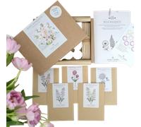 Jora Dahl Wild Bouquet - New Cottage Garden Starterkit - 1 paq.