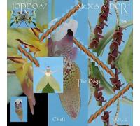 Jordon Alexander - How the Dogs Chill Vol. 2 [Vinilo]