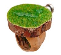 Jorzer Jumping Spider Hide Caja magnética para araña saltarina con Plataformas de Musgo Suministros para Mascotas de 1, 6 x 1, 8 Pulgadas..