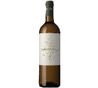 Jose Pariente Verdejo 2019 75 cl. 2019