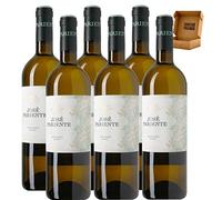 José Pariente - Envío Gratis 24H - DO Rueda - Vino Regalo - Cosecha Privada (6 x Botella 75 cl, Sauvignon Blanc)