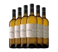 José Pariente Sauvignon Blanca Rueda 75 cl Vino blanco (Caja de 6 Botellas de 75 cl)