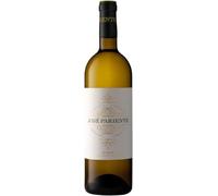 José Pariente Verdejo 2025 Vino Blanco D.O. Rueda - Pack 6 Botellas 75cl - 100% Verdejo - Vino Blanco Fresco, Aromático y Equilibrado