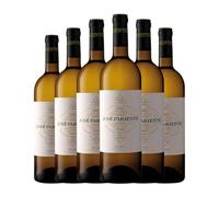 José Pariente Verdejo Rueda 75 cl Vino blanco (Caja de 6 Botellas de 75 cl)