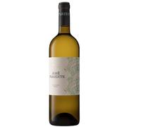 José Pariente - Vino Blanco Sauvignon Blanc | DO Rueda | Crianza sobre lías 4 meses | Notas minerales y persistentes | Fermentación en frío | 1 Botella 75cl