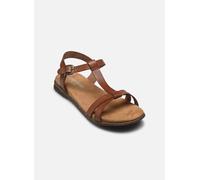 Josef Seibel Fabricia 01 41 Marrón