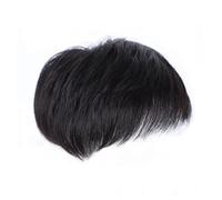 Joselin Pelucas Negras Naturales para Hombres, Peluca Recta, Cabello con Clip, Peluquín para Hombres, Pelucas en la Parte Superior de la Cabeza, Pelucas de Repuesto (B)
