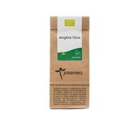 Josenea Jengibre Citrus BIO 10 pirámides